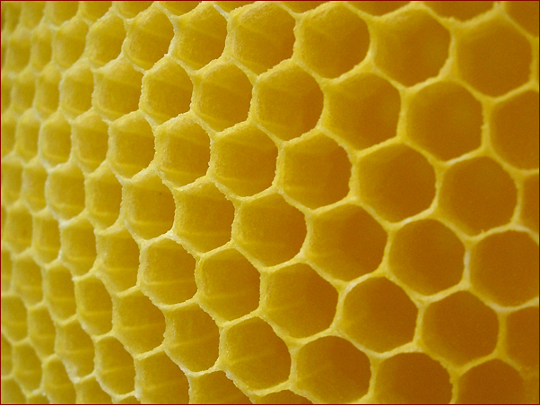 Foto Nr. 20: Bio-Imkerei Dietmar Niessner