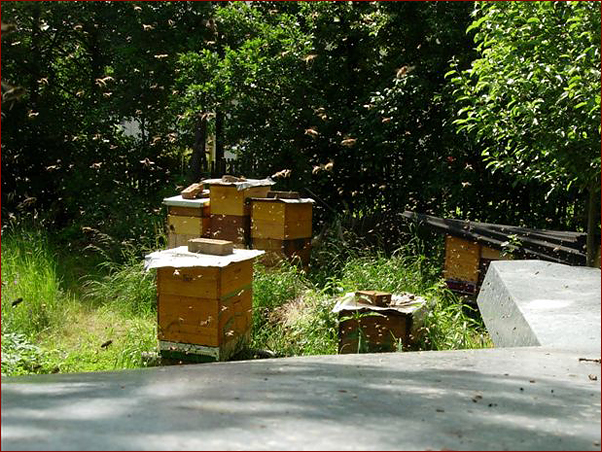 Foto Nr. 25: Flugbetrieb