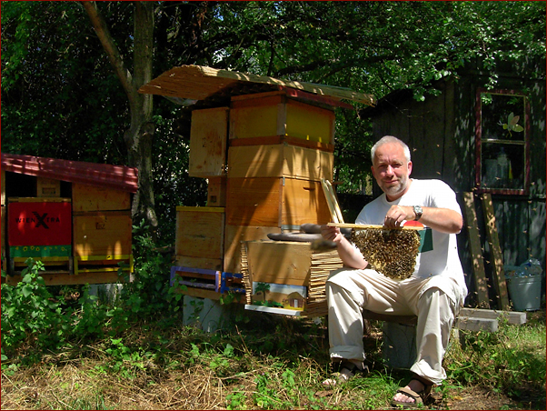 Foto Nr. 30: Bio-Imkerei Dietmar Niessner