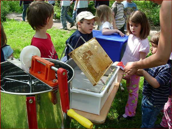 Foto Nr. 37: Bienenschule 4Kids