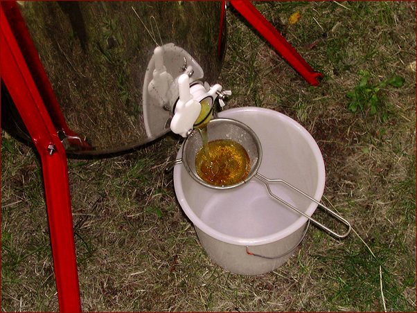 Foto Nr. 43: Bienenschule 4Kids - Honig schleudern