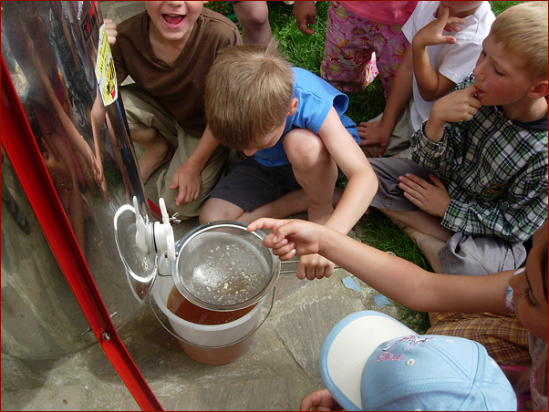 Foto Nr. 45: Bienenschule 4Kids