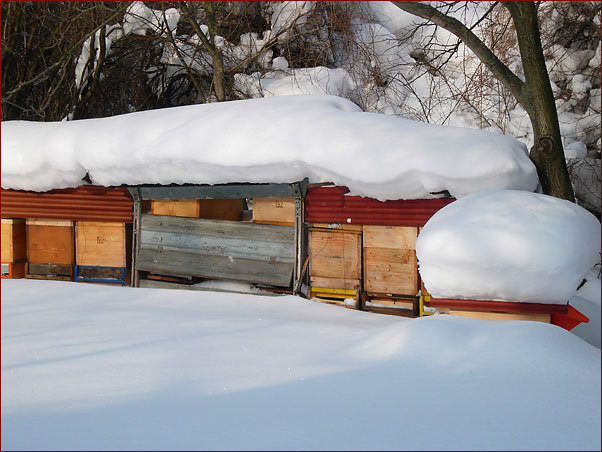 Foto Nr. 76: Winter in der Bio-Imkerei Niessner