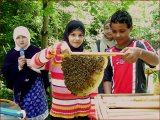Foto Nr. 47: Bienenschule 4Kids