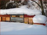 Foto Nr. 76: Winter in der Bio-Imkerei Niessner